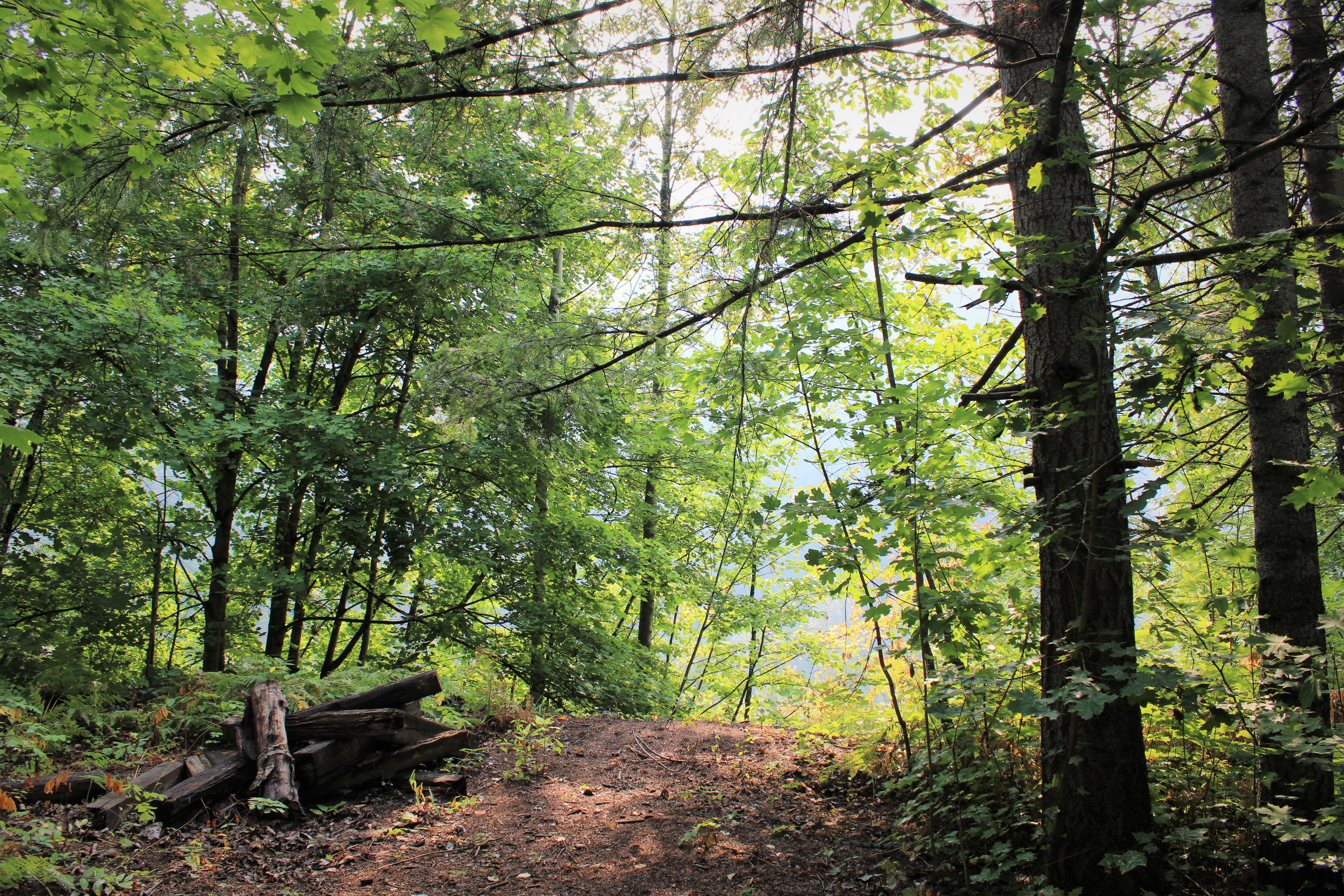 Exploring