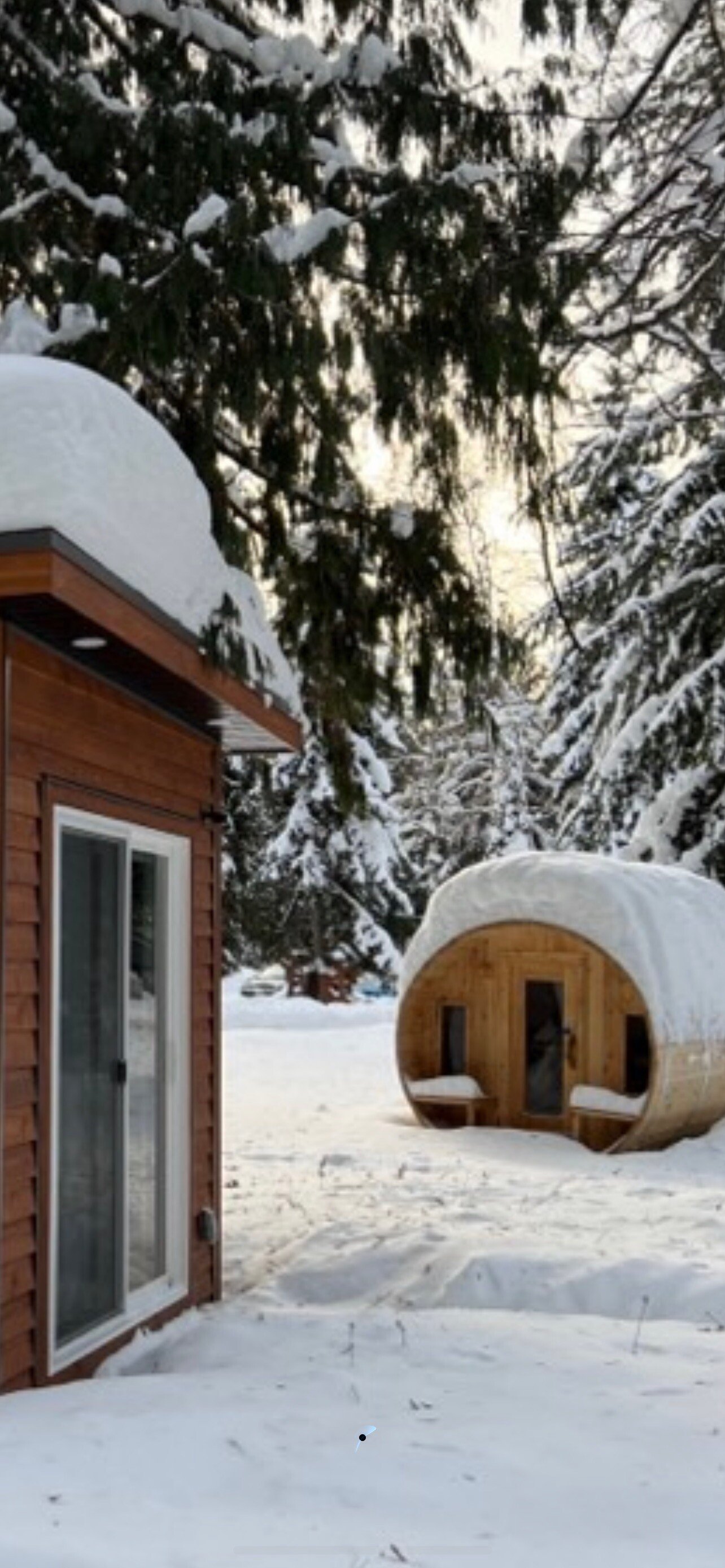 cabin-sauna-combo_vert 4